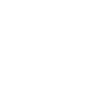 aviator icon