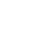 bank icon