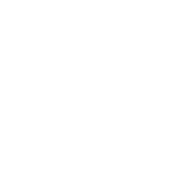 crypto icon