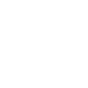 mobile pay icon